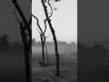 Download Lagu #kuasha #views #shorts #like #subscribe #aesthetic #music #song