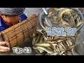 Download Lagu cuộc sống \