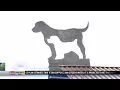 Bozeman community non-profit group helping Anderson Dog Park become doggy wonderland
