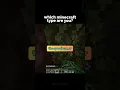 What Type Of Minecraft Player Are YOU? 😎