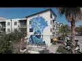 Downtown Dunedin Florida Explore Florida s Most Charming Small Town
