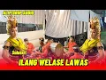 Download Lagu Ilang Welase Lawas Versi Gandrung Sulastri ||GrupMawarPutih Mudaiyah_live Gunungsari Banjarsari2025