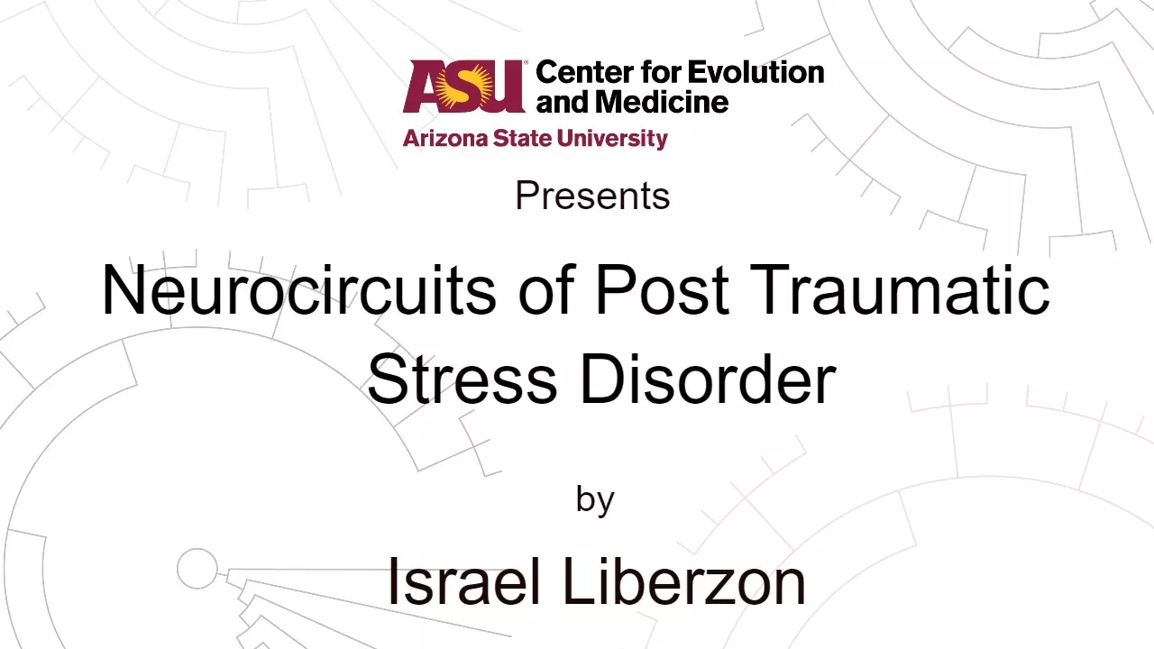 Neurocircuits of Post Traumatic Stress Disorder | Israel Liberzon