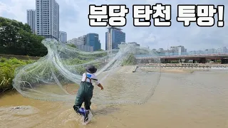 성남시 분당구를 가로지르는 대표하천 탄천에서 투망을 하면 어떤 물고기가 잡힐까?