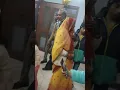 Prajjwal with gifts on his birt ay Part-4 kaa studio