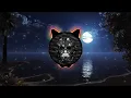 Download Lagu Alan Walker x Benjamin Ingrosso - Man On The Moon (Synax Remix)