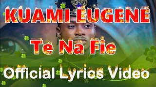 kuami eugene te na fie lyrics video