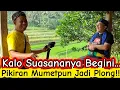 Download Lagu Hamparan Indah Sawahnya Buat Nggak Kepengen Pulang || Refreshing Sejenak