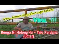 Download Lagu Bunga Ni Holong Hu ~ Trio Perdana || (Cover Putri Hijau Irama) || Paman Coba Bawakan Lagu Batak!!!