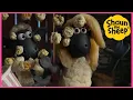 Download Lagu 🐑 Shaun The Sheep YouTube Special 🐑 Two's Company🐑 Brand New Episodes, Cartoons for kids