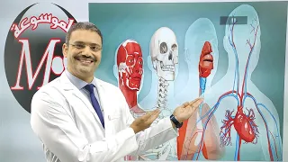 قناة الموسوعه محمد صالح لشرح مادة الاحياء بأحدث طريقة فى العالم للنظام الجديد 