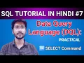 DQL Command in SQL Select Command in SQL Select Query SQL Commands in HINDI