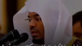 ياسر الدوسري ويطعمون الطعام على حبه 