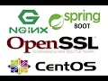 NGINX SSL SPRING BOOT SSL 1 openssl nginx install example