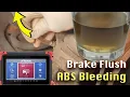 COMPLETE brake flush w ABS bleeding How dirty the fluid - Honda