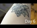 Tattoo Healing Process day by day