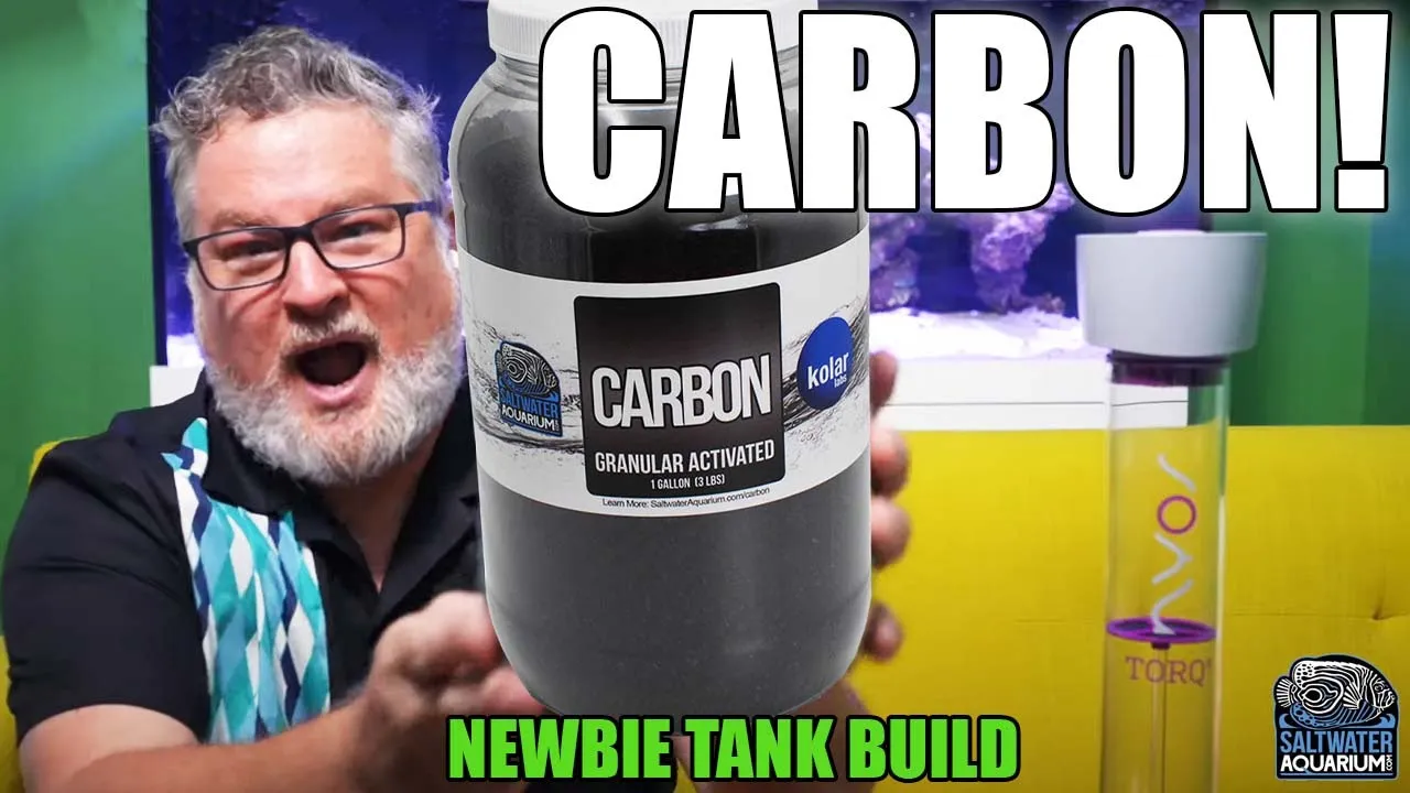 Using ACTIVATED CARBON in Your Saltwater Aquarium - Newbie Tank Build