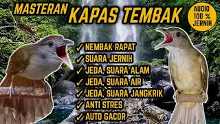 Download SUARA MASTERAN KAPAS TEMBAK NEMBAK RAPAT ! JEDA, TERAPI AIR \u0026 ALAM. ANTI STRES ! MP3