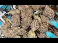 Strain Review Oreoz w CrenshawFrmTheChi