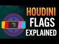 Houdini Flags Explained Master Visibility Rendering Display Control