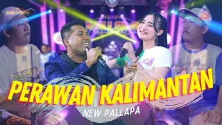 Download Yeni Inka ft. Brodin New Pallapa - Perawan Kalimantan (Official Music Video ANEKA SAFARI) MP3