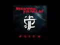 Strapping Young Lad - Love? (720p)