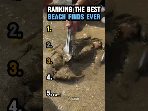 RANKING THE BEST BEACH FINDS EVER
