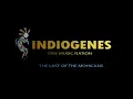 Download Lagu The Last Of The Mohicans - Studio Audio - Indiogenes