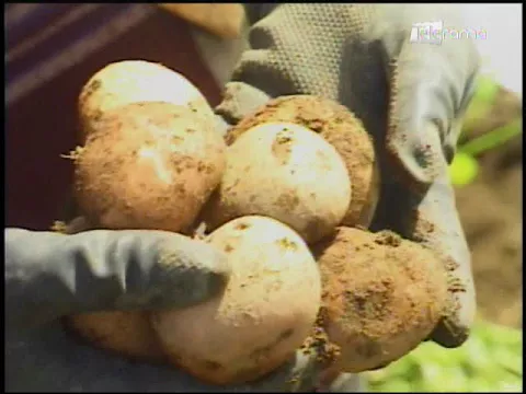 Ecuador Agropecuario 05-09-2017