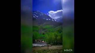 اجرای کامل اهنگ لری ظالم با خوانندگی رضا میران 