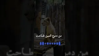 البعد الموت حلات وتساب 