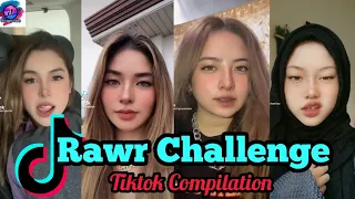 Download Rawr Challenge 🦁 ( Wave your Nose and Mouth ) Tiktok Compilation MP3