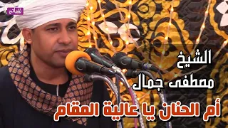أم الحنان يا عالية المقام   الشيخ مصطفى جمال دندنها