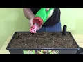 The Start Pickin Self-Watering Raised Bed Grow Box - A Product Demo