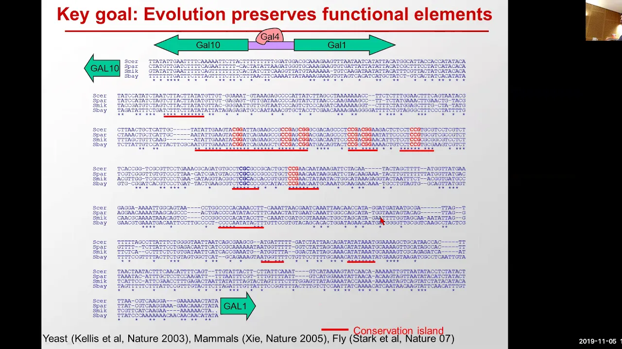 MIT CompBio Lecture 17 - Comparative Genomics (Fall 2019)