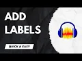 Audacity Tutorial - How To Add Labels In Audacity