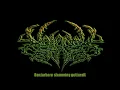 Download Lagu Blood Spills  Jam dua belas (Slamming guttural)