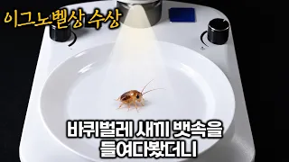 해외에서 난리난 '사기급 슈퍼푸드’의 진짜 출처