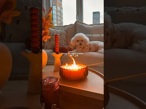cozy fall nights are back 🍂🥐 #cozy #fall #nightroutine #selfcare #asmr #aesthetic #nightin #shorts