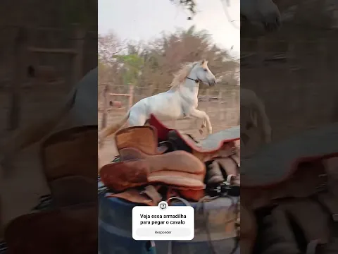 Veja essa armadilha para pegar o cavalo 🐎 #gado #viral #shortvideo #shortvideo #fazenda #agro