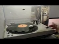 Não Pode - Tony Bizarro (Lp Stereo 1977-2022) Vinil