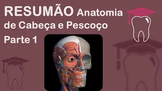 Pt. 1 Resumão Anatomia de Cabeça e Pescoço