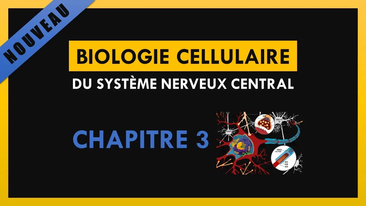 Biologie cellulaire du système nerveux central - Chapitre 3