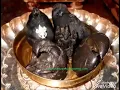Download Lagu Adarvana Kirumi samhara suktam