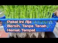 Lagu Menanam Sayuran di Rumah Lahan Sempit - Kangkung Hidroponik