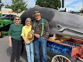 A Whale