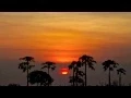 Download Lagu Suling Bebasuran - Balinese Flute