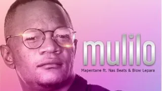mapentane ft nas beats and blow lepara mulilo