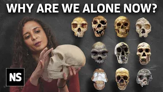 Ancient Human Species We Once Co-Existed With