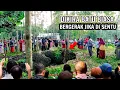 Download Lagu kejadian di jombang bikin geger,! pengakuan warga buaya bertapa seperti hidup jika di sentuh